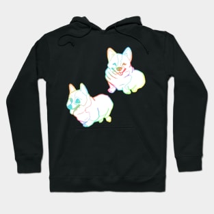 Holographic fat corgi magnet pattern Hoodie